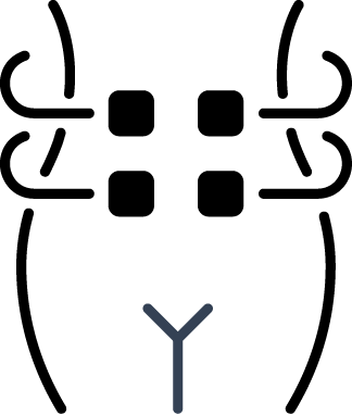 abdominal treatment icon